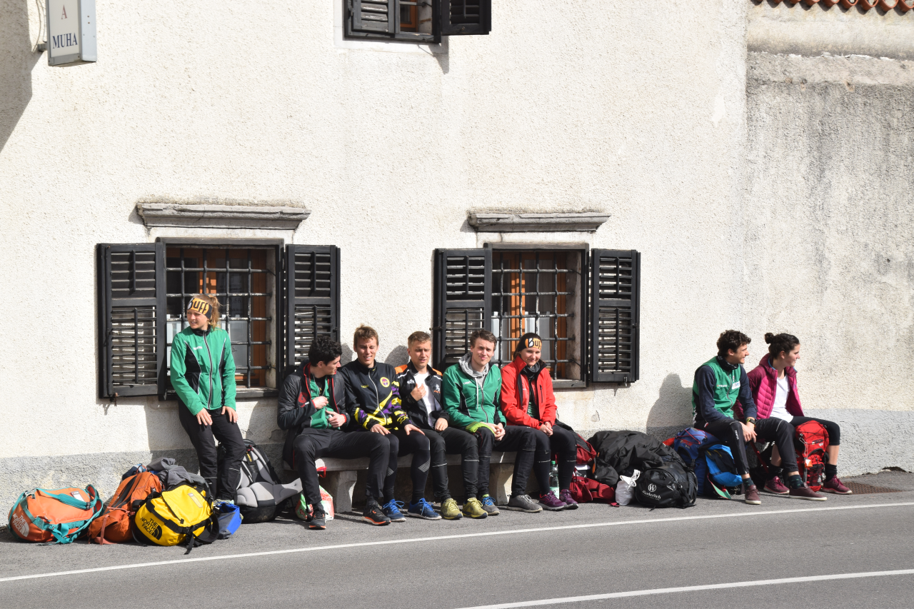 Lipica gruppe DSC 0039 hd